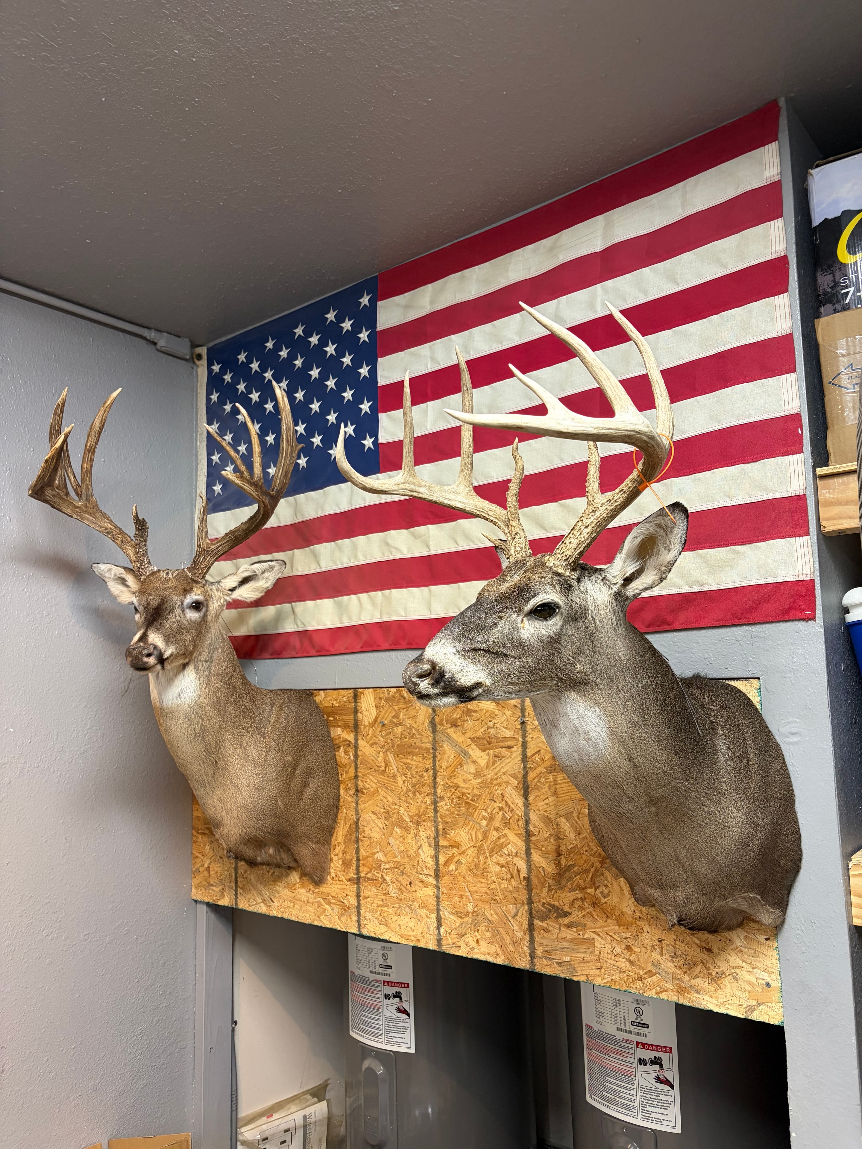 How to Prepare Your Trophy for Drop-Off: A Hunter's Guide